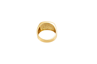 14KT Gold Ring Men's Flat Curved Rectangle White CZ Stones Five Rows of Seven Center with White CZ Stones Double Border and Plain Band