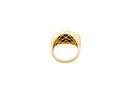 14KT Gold Ring Men's Onyx Raised Gold Lion Head White CZ Stoned Border Framed with Five Row Bridge Side Design Ascending Steps Under Continued Five Row Bridge