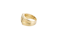 14KT Gold Ring Men's Onyx Square Horse Portrait with Horseshoe Frame and White CZ Stone Border Side Design Greek V Shape Border