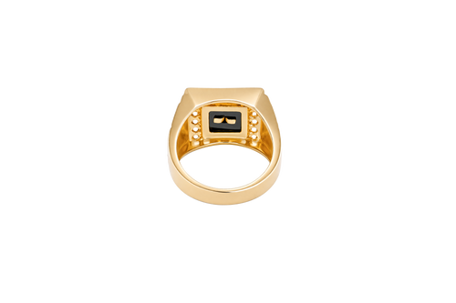 14KT Gold Ring Men's Square Lion Head Onyx Background White CZ Stone Border Side Design Greek