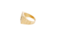 14KT Gold Ring Men's Square Lion Head Onyx Background White CZ Stone Border Side Design Greek