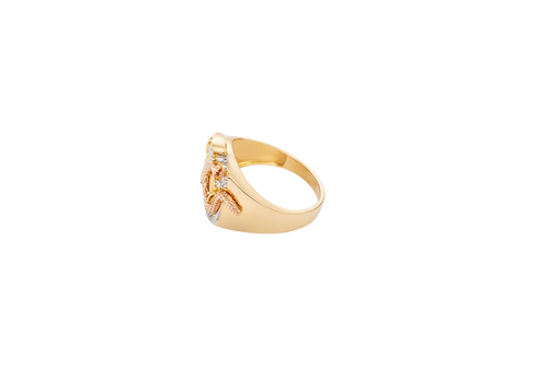 14KT Gold Ring Men's Round Tri Tone Eagle/Snake 12 White Round CZ Stones Single Row Lower Border Side Design Plain