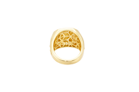 14KT Gold Ring Men's Two Tone Rectangle Raised Medusa Head with Sunray Background and Double Row White CZ Stone Border Band Design Raised Reins and Saddle