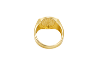 14KT Gold Ring Men's Oval White CZ Stone Cluster Center Design with White CZ Stones Upper and Lower Borders Side Design Plain Waterfall Edge