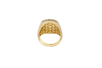 14KT Gold Ring Men's Round Raised Half Horse/Horseshoe Coin Design with Single Row White CZ Stone Border Shank Design Black Background Greek Pave White CZ Stones