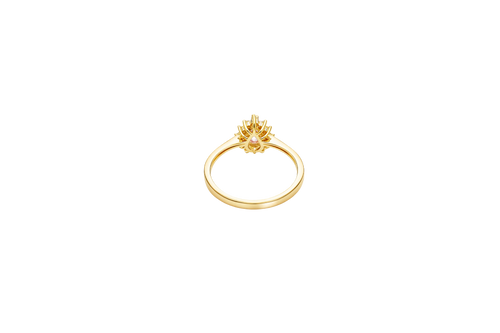 14KT Gold Ring Women's Flower Pear Pink Center Stone with White CZ Stone Petals Border Plain Band