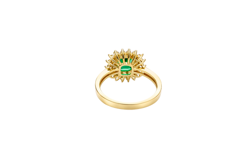 14KT Gold Ring Women's Square Dark Green Center Double Round White CZ Border Plain Band